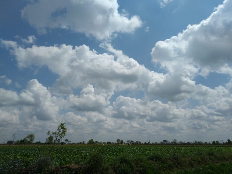 Beauty of Nature Kanganpur