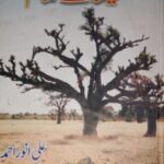 Sheesha Tay Hamaam By Ali Anwar FP