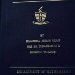 Thesis Flap of Arslan Aslam