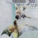 Book Series Preet Kanganpur, Front Page