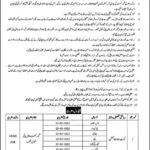 Kasur Education Department Jobs Advertisement